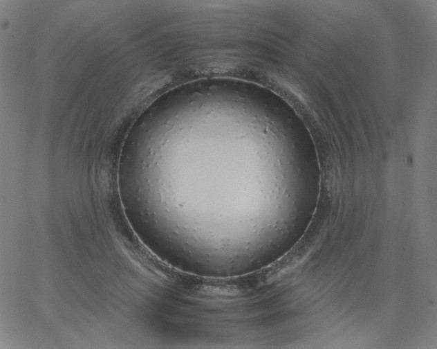 X0000067380455200604131911