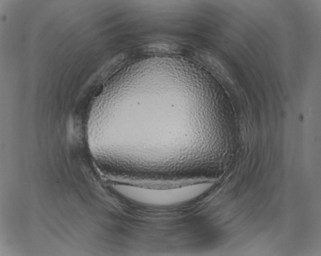 X0000067380457200604131911