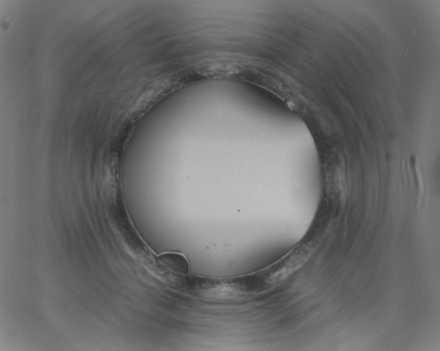 X0000067380460200604131911