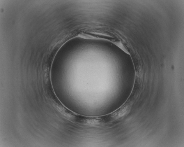 X0000067380462200604131911