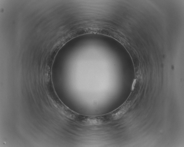X0000067380464200604131911