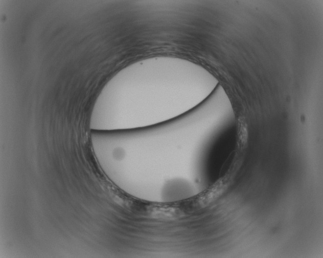X0000067380471200604131911