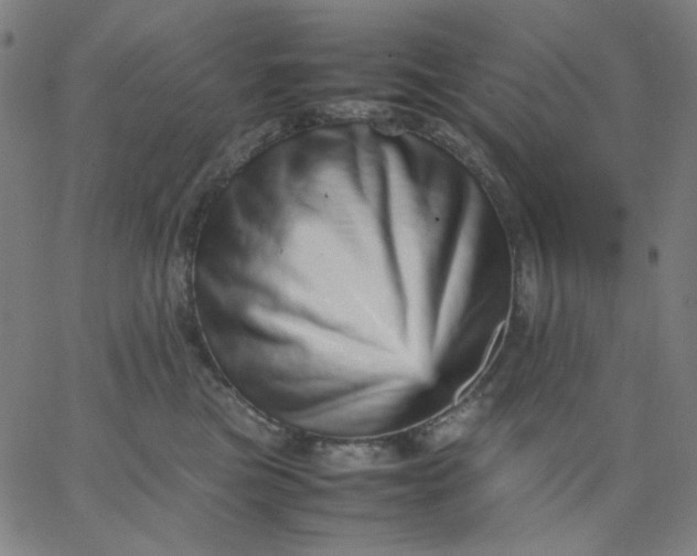 X0000067380473200604131911