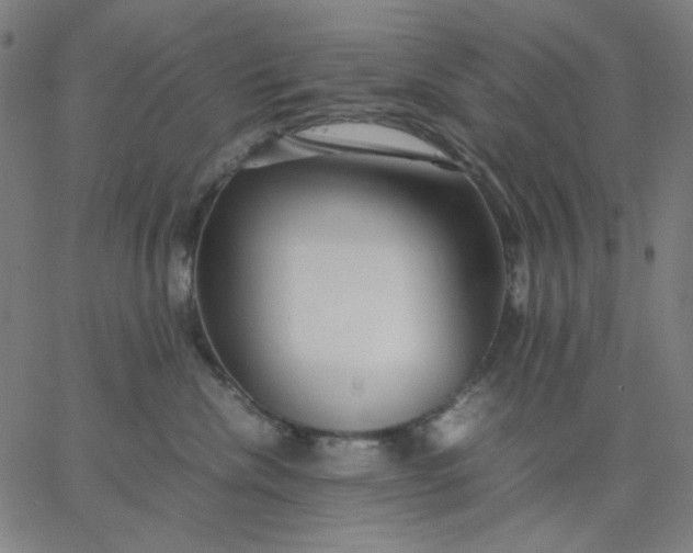 X0000067380476200604131911