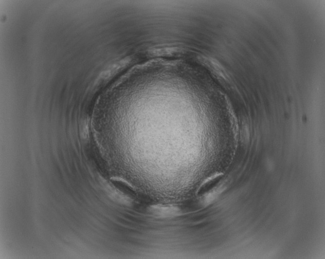 X0000067380477200604131911