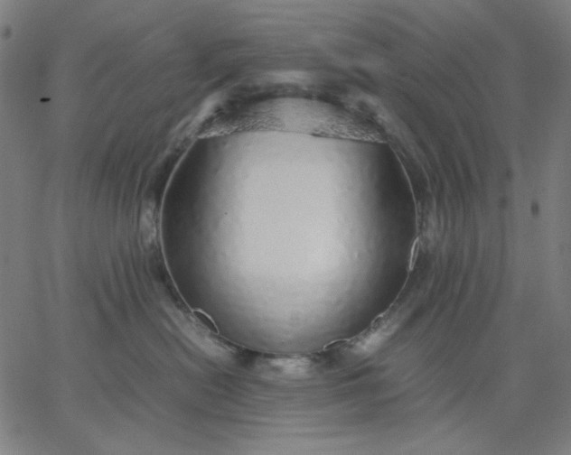 X0000067380478200604131911