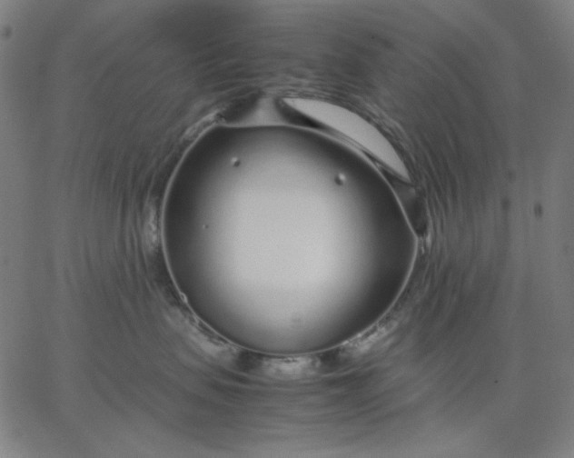 X0000067380479200604131911