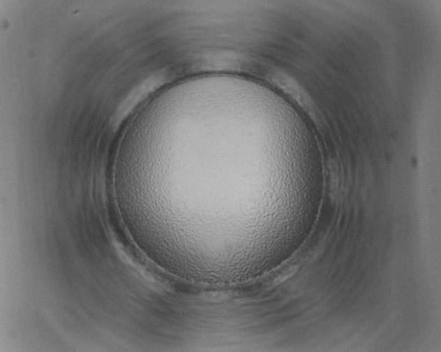 X0000067380482200604131910
