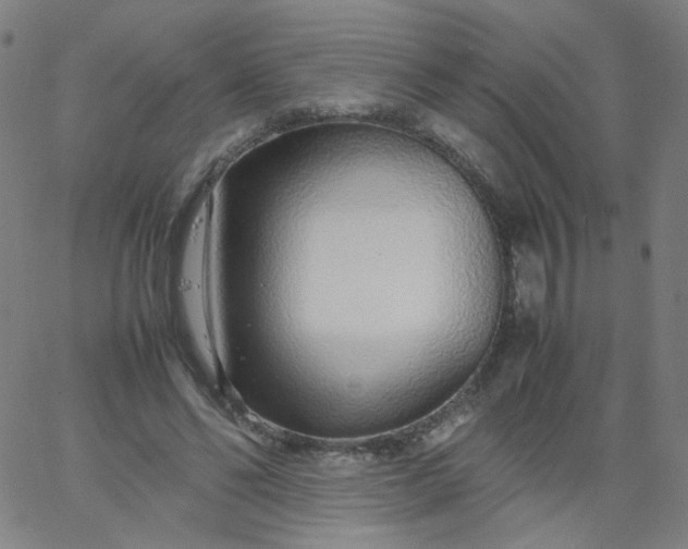X0000067380494200604131910