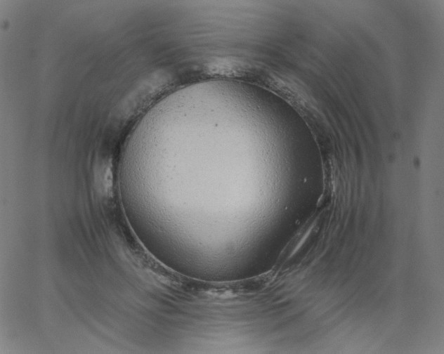 X0000067380502200604131910