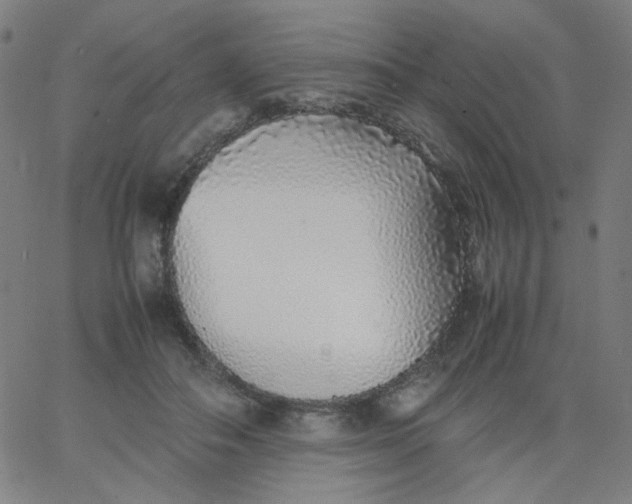 X0000067380506200604131910