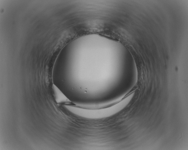 X0000067380512200604131910