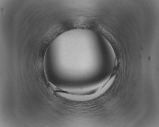 X0000067380513200604131910