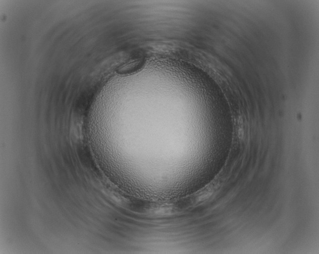 X0000067380514200604131910