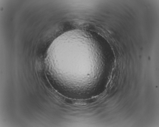 X0000067380515200604131910