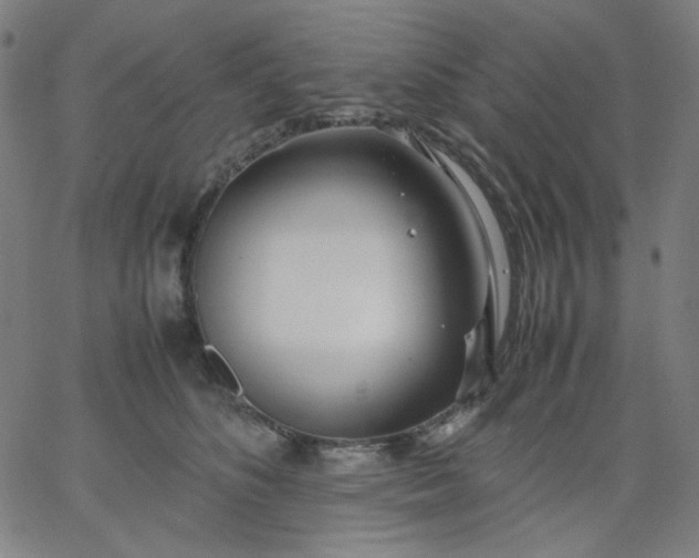 X0000067380516200604131910