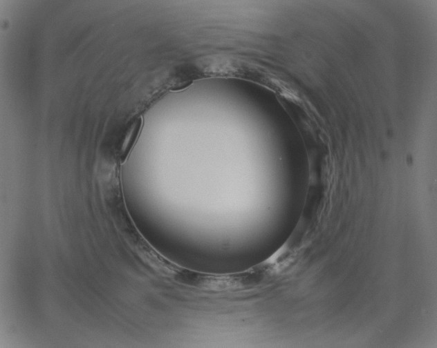 X0000067380521200604131910