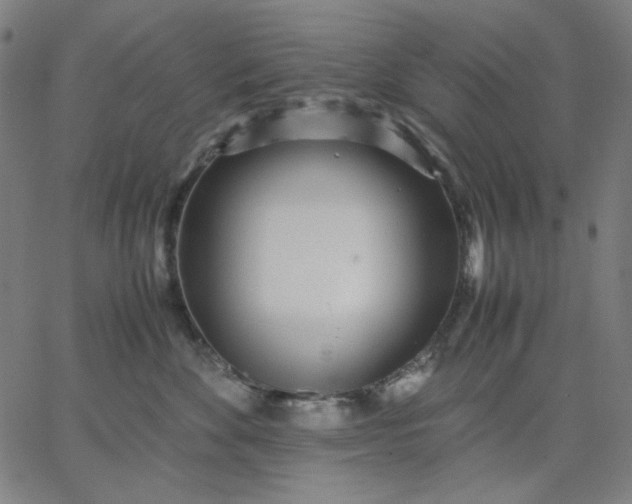 X0000067380524200604131909