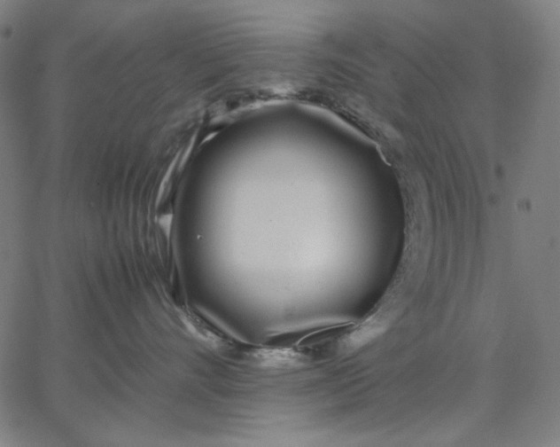 X0000067380528200604131909