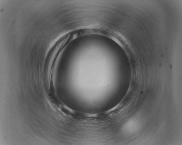 X0000067380532200604131909