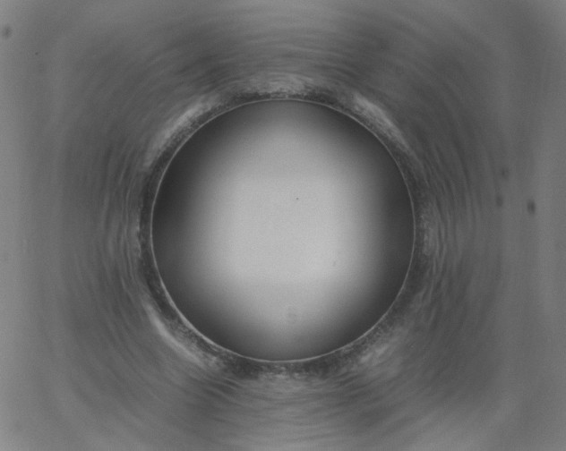 X0000067380538200604131909