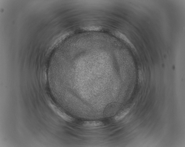 X0000067380541200604131909