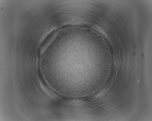 X0000067380542200604131909