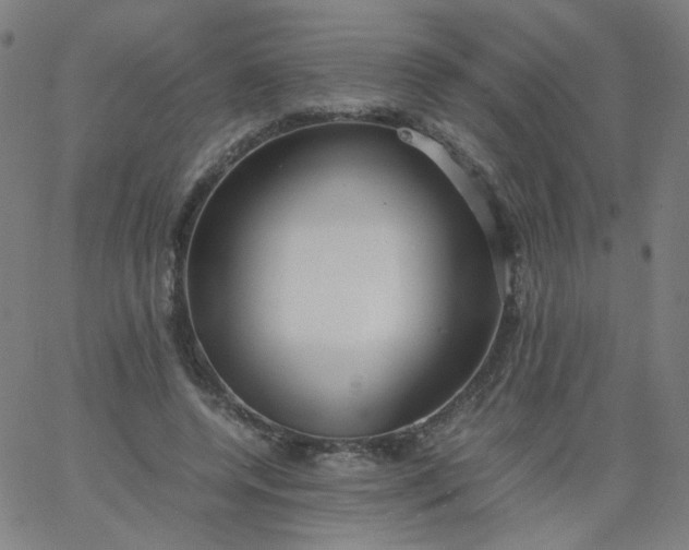 X0000067380544200604131909