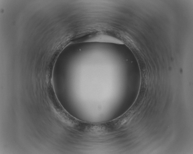 X0000067380546200604131909