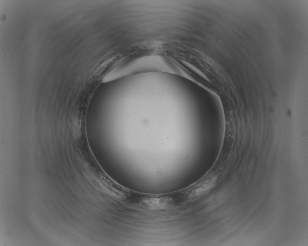 X0000067380558200604131909