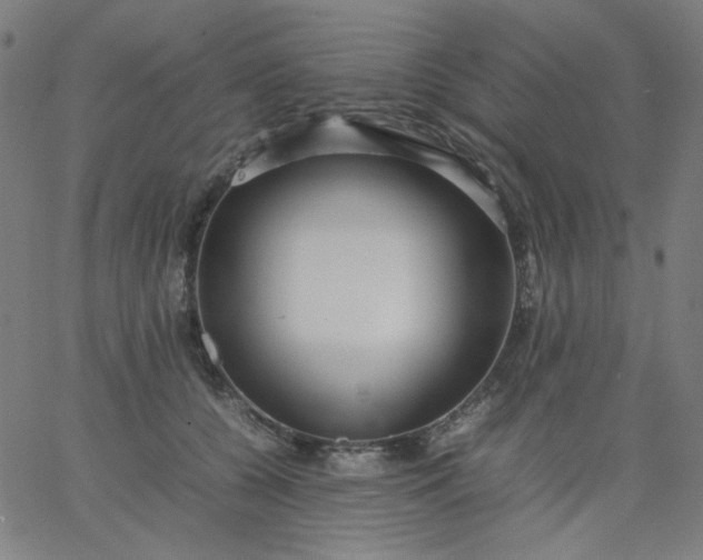 X0000067380560200604131909