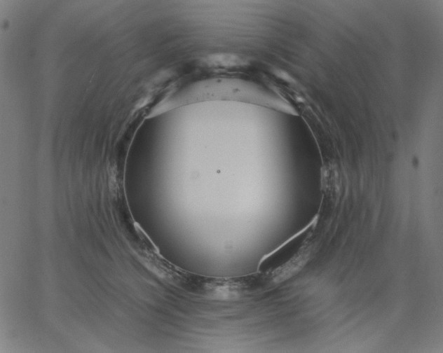 X0000067380564200604131909