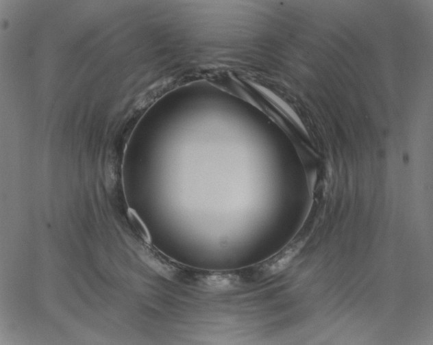 X0000067380566200604131909