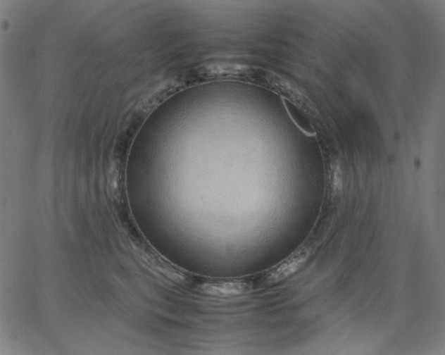 X0000067380567200604131909