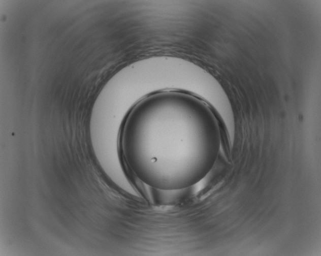 X0000067380570200604131909