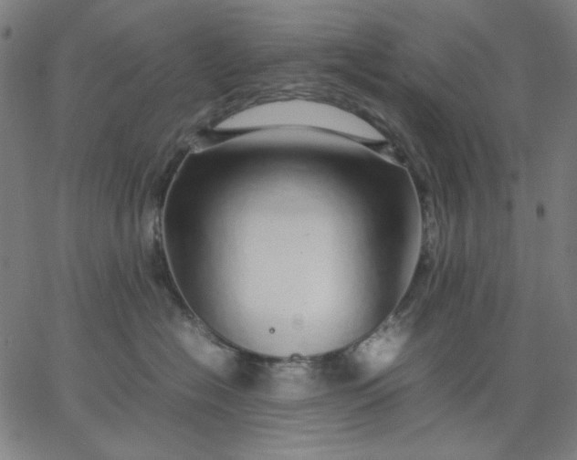 X0000067380574200604131909