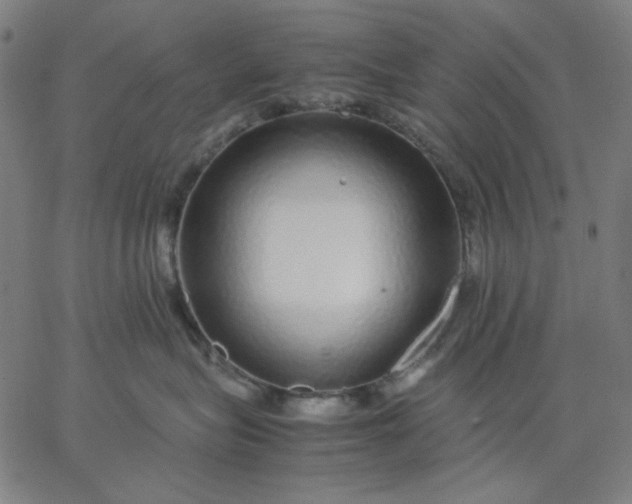 X0000067380575200604131909
