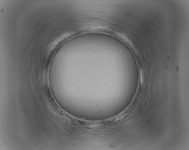 X0000067380579200604131909
