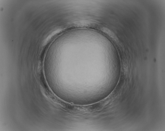 X0000067380583200604131909