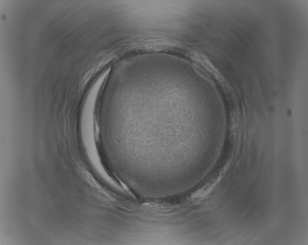 X0000067380585200604131908