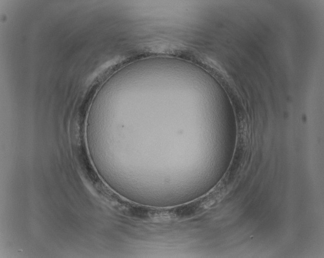 X0000067380587200604131908
