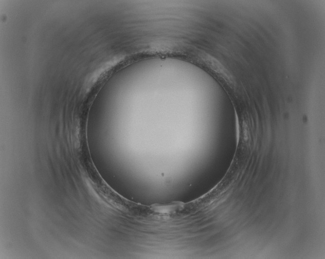 X0000067380588200604131908