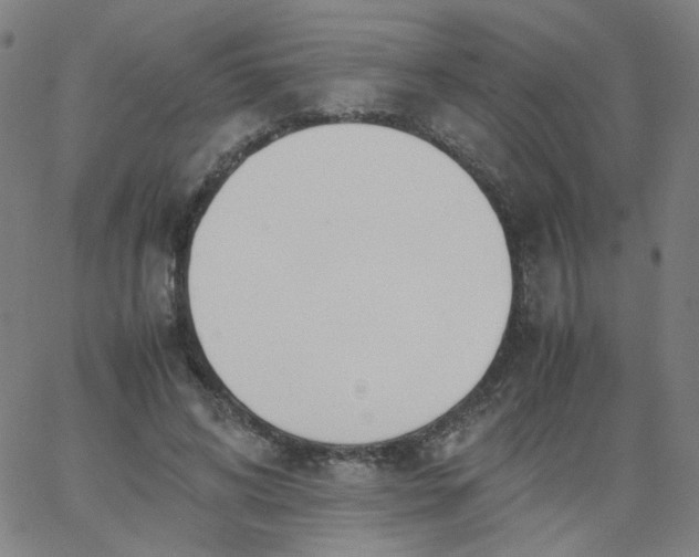 X0000067380592200604131908