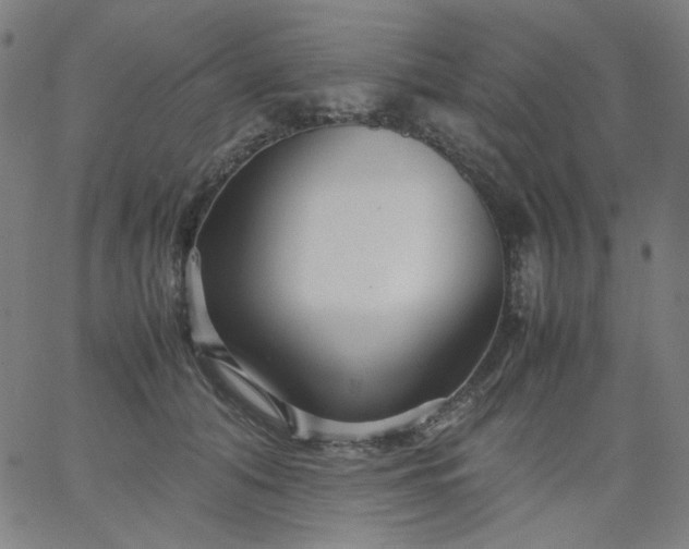 X0000067380608200604131908