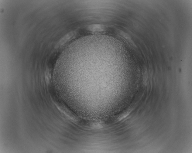 X0000067380618200604131908