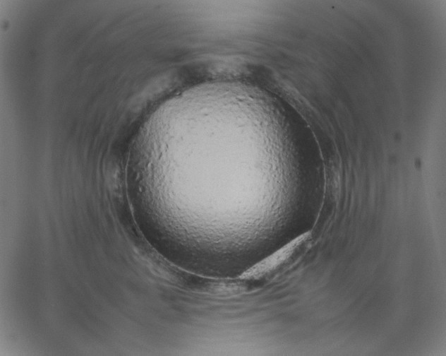 X0000067380619200604131908