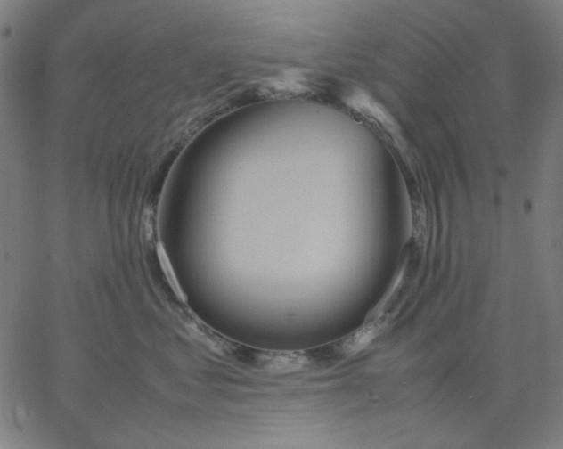 X0000067380621200604131908