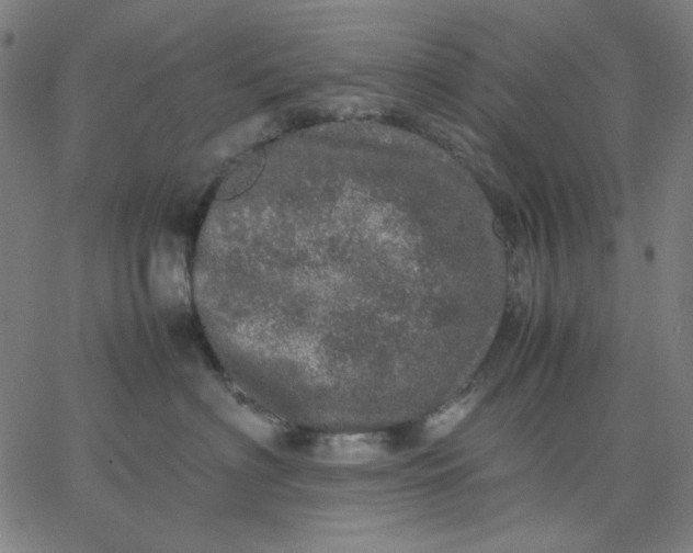 X0000067380622200604131908