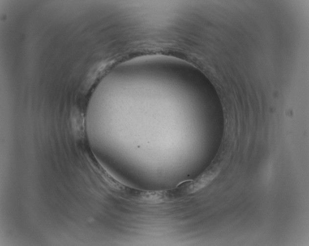 X0000067380624200604131908