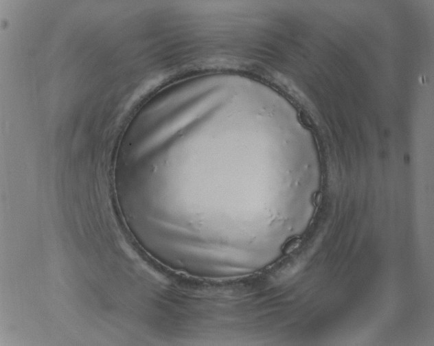 X0000067380625200604131907